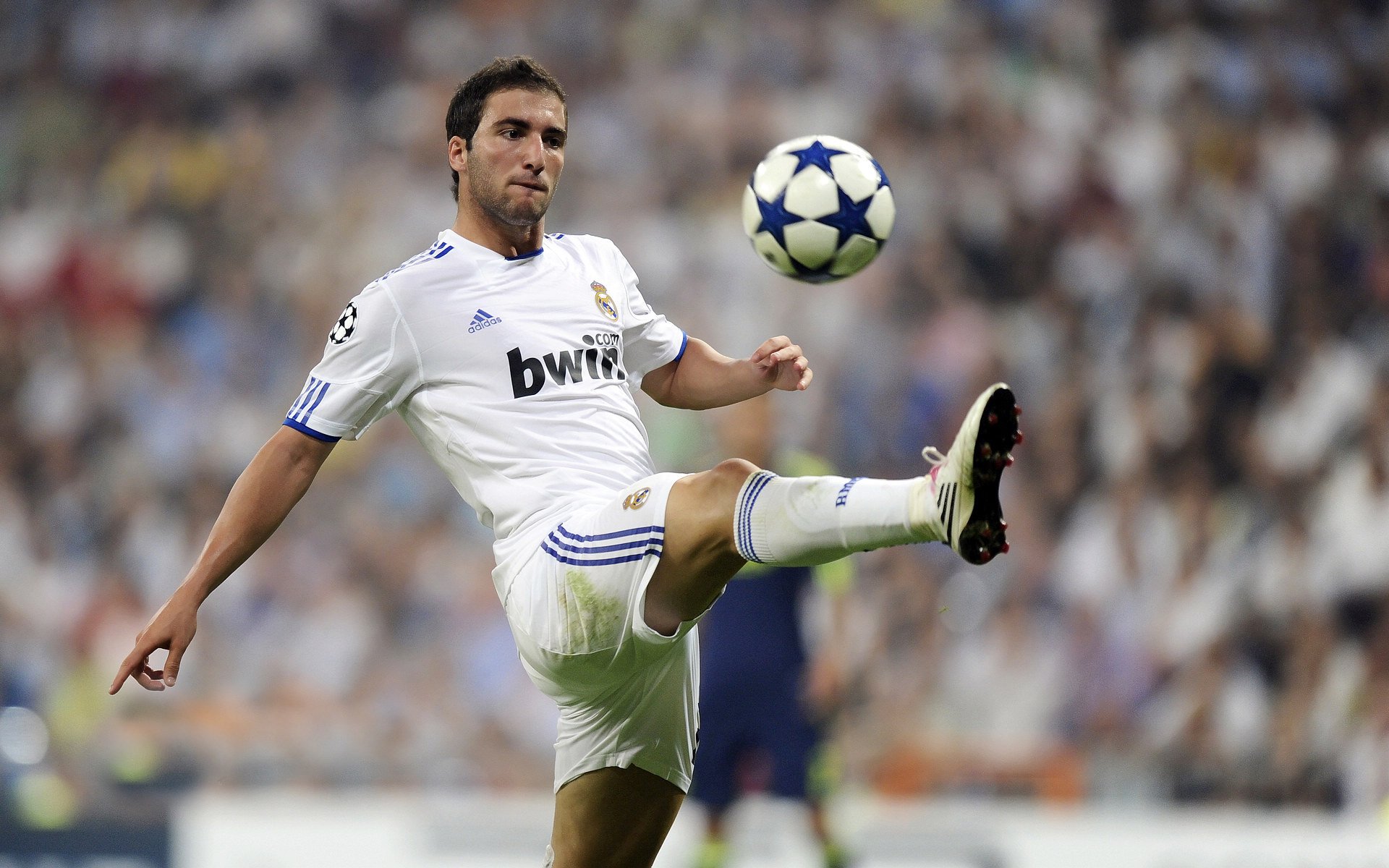 克罗地亚队在巴黎奥运会手球比赛中以36_29击败奥地利队，克罗地亚 队