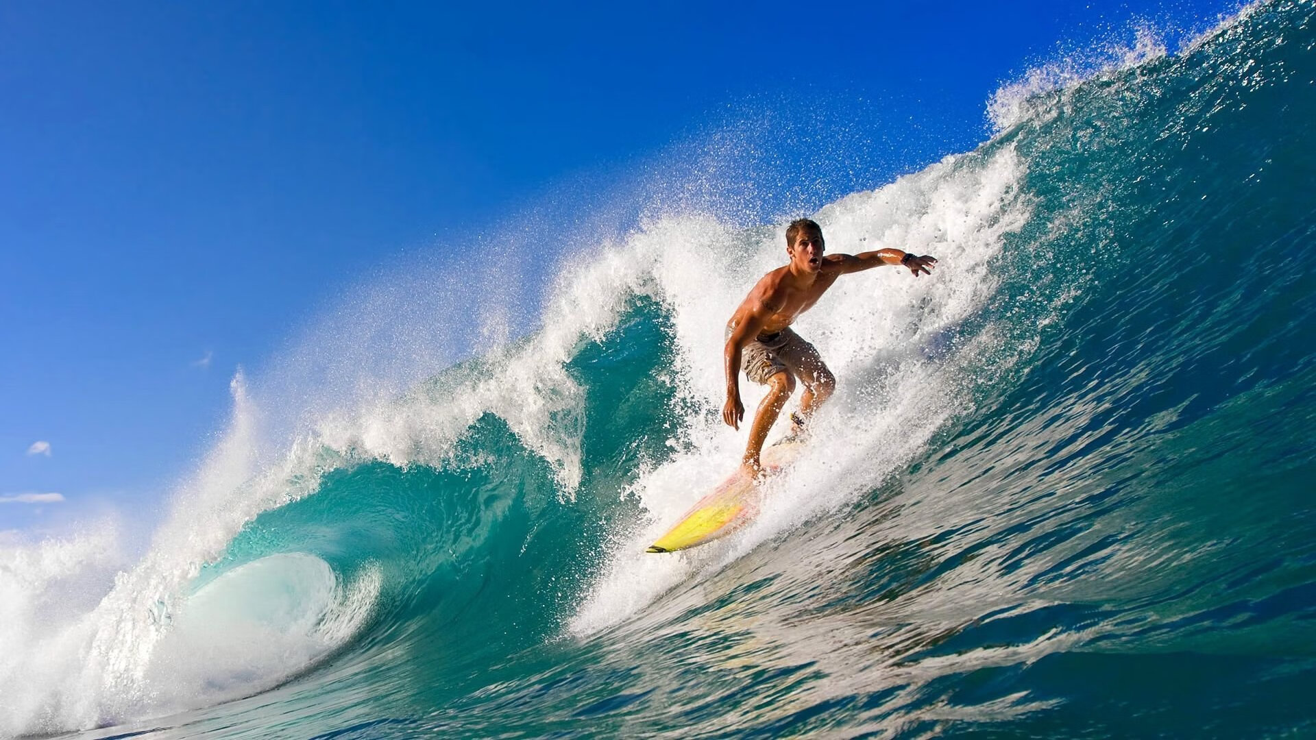 开云竞猜官网-球迷盛典：线上线下球迷活动集锦，线下买球